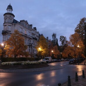Végétalisation Ixelles 