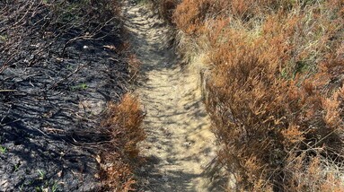 Natuurbrand in Aarschot - ©UGent