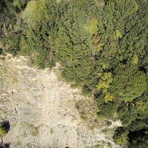 © Sébastien Van Malleghem. Sécheresse foret en Belgique 